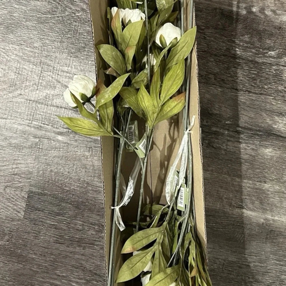 Cream White Michael’s Ashland Viral Peonies Flowers • Set of 8 Peony Stems